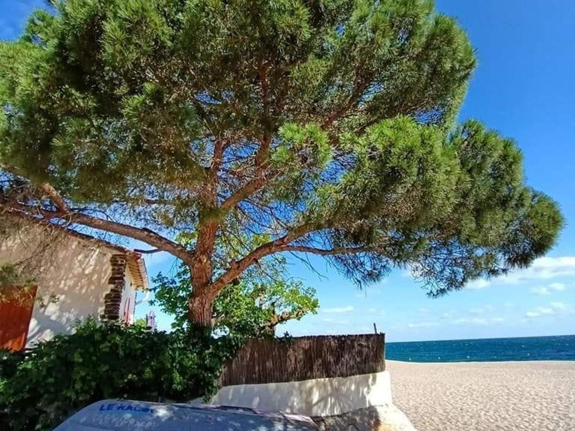 Pavillon 6 Pers A Argeles-Sur-Mer: Piscine, Clim, Parking, Wifi, Proche Plage - Fr-1-776-5 Экстерьер фото